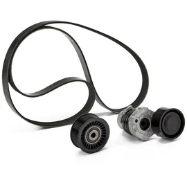 SKF Keilrippenriemensatz