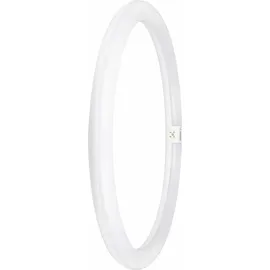 Osram LED-Röhre G10q 24 W 6500 K 1 St.
