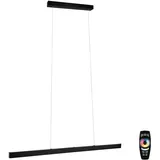 Paulmann Aptare 1-flg. 36 W 150 cm eckig schwarz