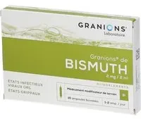 Granions® de Bismuth Ampoule(S) 10x2 ml