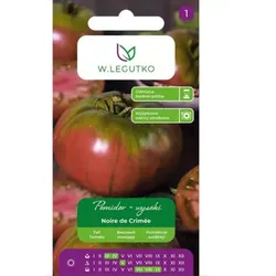 Hochgewachsene Freilandtomate Noire de Crimée – runde, braune Früchte