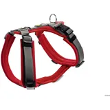 Hunter Geschirr Maldon Up rot/grau