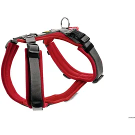Hunter Geschirr Maldon Up rot/grau