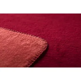 David Fussenegger - Rot