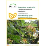 SAFLAX - Tamarinde - 4 Samen - Tamarindus indica