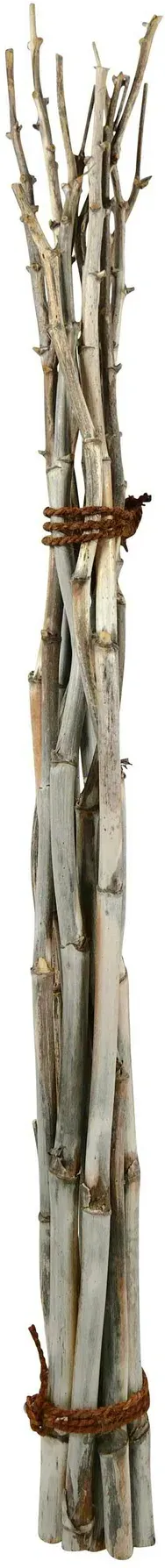 Fenchel Bündel ca.180cm 10St. natur