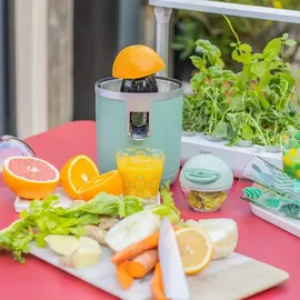 LIVOO Zitruspresse - DOD193