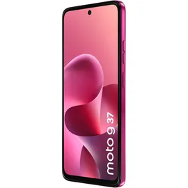 Motorola moto g37 16 GB RAM 128 GB PANTONE Fuchsia Red