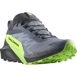 Salomon Sense Ride Herren Flint Stone/Black/Green Gecko 42