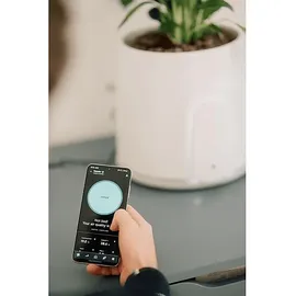 vitesy Natede Smart Natürlicher Luftreiniger Grün