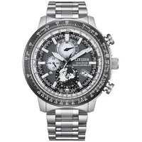 Citizen BY3006-53H