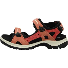 ECCO Offroad Damen burnt coal/spiced coral 41