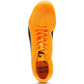 Puma Evospeed Star 9 Herren Sun Stream/Puma Black/Puma White 40