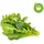 Click and grow Click and Grow, Salat-Mix