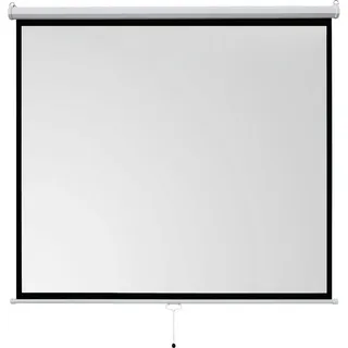 Celexon basic line Rolloleinwand 200 x 200cm,Leinwand Format 1:1 | Heimkino Leinwand, Beamerleinwand,3D Leinwand,Full HD Leinwand, Leinwand Beamer