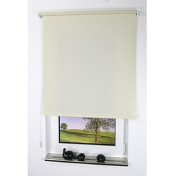 LIEDECO Seitenzug-Rollo, cremefarben, Polyester - braun
