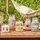 Yankee Candle Sunny Daydream mittelgroße Kerze 411 g