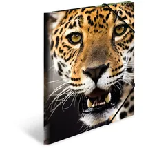 Herma Sammelmappe Tiere A4 leopard 
