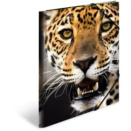 Herma Sammelmappe Tiere A4 leopard 