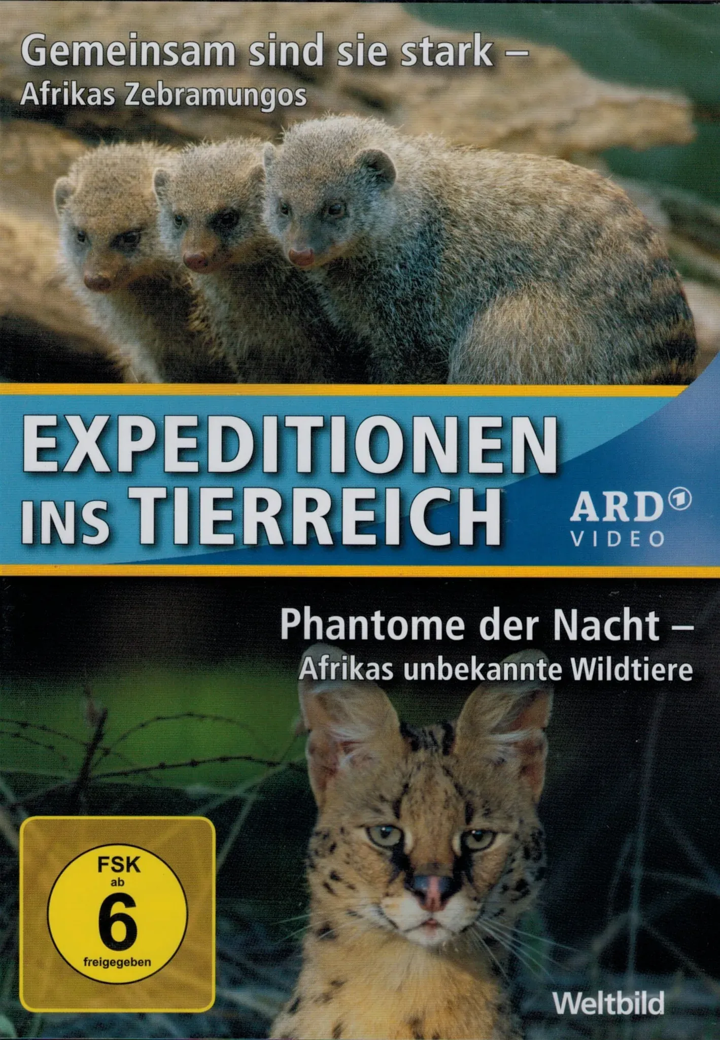 Expeditionen ins Tierreich - 2 Folgen - Afrikas Zebramungos - Gemeinsam sind sie stark + Phantome der Nacht - Afrikas unbekannte Wildtiere [DVD] (Neu differenzbesteuert)