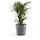 Ecopots Amsterdam Ø 50 x 43,8 cm Grau