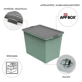 Rotho Aufbewahrungsbox Compact 57 x 39,5 x 43,5 cm 1-tlg. grün