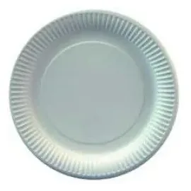 Papstar Pappteller rund Ø 23 cm 100 St. Weiß