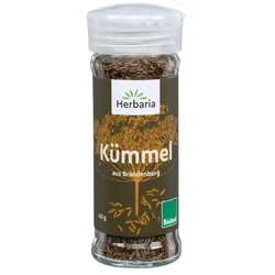 Kümmel BIO