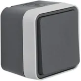 Berker 50453525 Taster Schließer AP W.1 grau