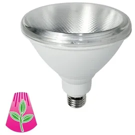 BIOLEDEX Pflanzenlampe GoLeaf Pflanzenleuchte Vollspektrum E27 PAR38 IP65 Pflanzenbeleuchtung, LED fest integriert, neutralweiss
