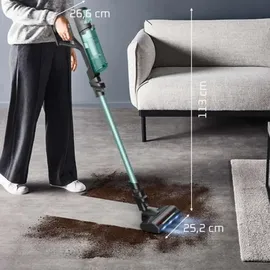 Rowenta RH1833 Ultraleicht Grün/Grau