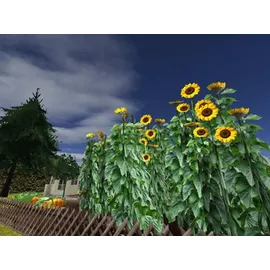 Garten-Simulator 2010 (PC)