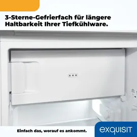 Exquisit KS117-3-040E Kühlschrank (81 l, 850 mm hoch, Weiß)