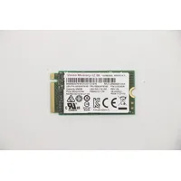 Lenovo 5SS0W76183, 256 GB, M.2