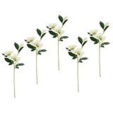 Flair Flower Helleborus Christrosenzweig 5er Set Kunstblume Seidenblumen Floristik Einzelblume Stielblume Einzelzweig Stiel Kunst-Stielblume Dekoblume Blumen Blumendeko,021114CR,Creme,57x12x5 cm