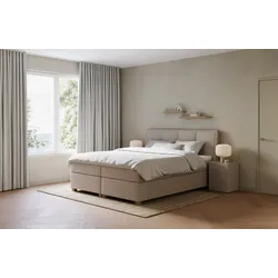 Boxspringbett Elementa Edge