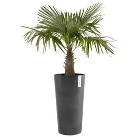 Ecopots Amsterdam Ø 41 x 76 cm Dunkelgrau