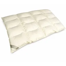 Betten Hofmann 4-Kammer Daunenbett Steppdecke Daunendecke 135x200 cm 1200 g 60% Daunen warm