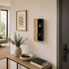 Haku-Möbel Schlüsselkasten (BHT 20x40x4 cm) 20 x 40 x 4 cm Schwarz