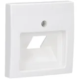 Busch-Jaeger Zentralscheibe alpinws f.Datenkommunikation 1803-914