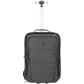 Delsey PARIS Trolley Backpack Grey (3944659-11)