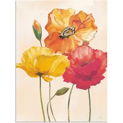 Wandbild ARTLAND "Bunte Mohnblumen I", bunt (farbe bild(er): bunt), B:45cm H:60cm, Bilder, als Alubild, Outdoorbild, Leinwandbild, Poster, Wandaufkleber