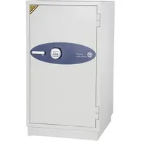 Phoenix Data Commander DS4621E / NT Fire 017- S120DIS Lieferung frei Bordsteinkante