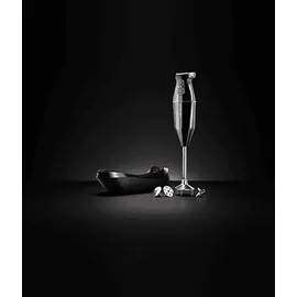 ESGE 95105 Stabmixer