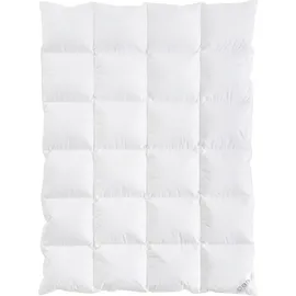OBB Oberbadische Bettfedernfabrik OBB One & Only Daunendecke Winterdecke Größe 135x200 cm - Weiß