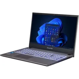 bluechip TRAVELline B15W55 Intel Core i3-1315U 8 GB RAM, 500GB SSD