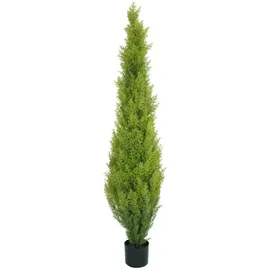 Europalms Zypresse, Leyland, 120cm