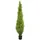 Europalms Zypresse, Leyland, 120cm