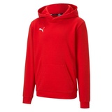 Puma teamGOAL 23 Casuals Hoody Jr puma red 128