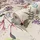 Marburg Vliestapete Floral Blossom 10 m beige/grün/lila/rosa 47457